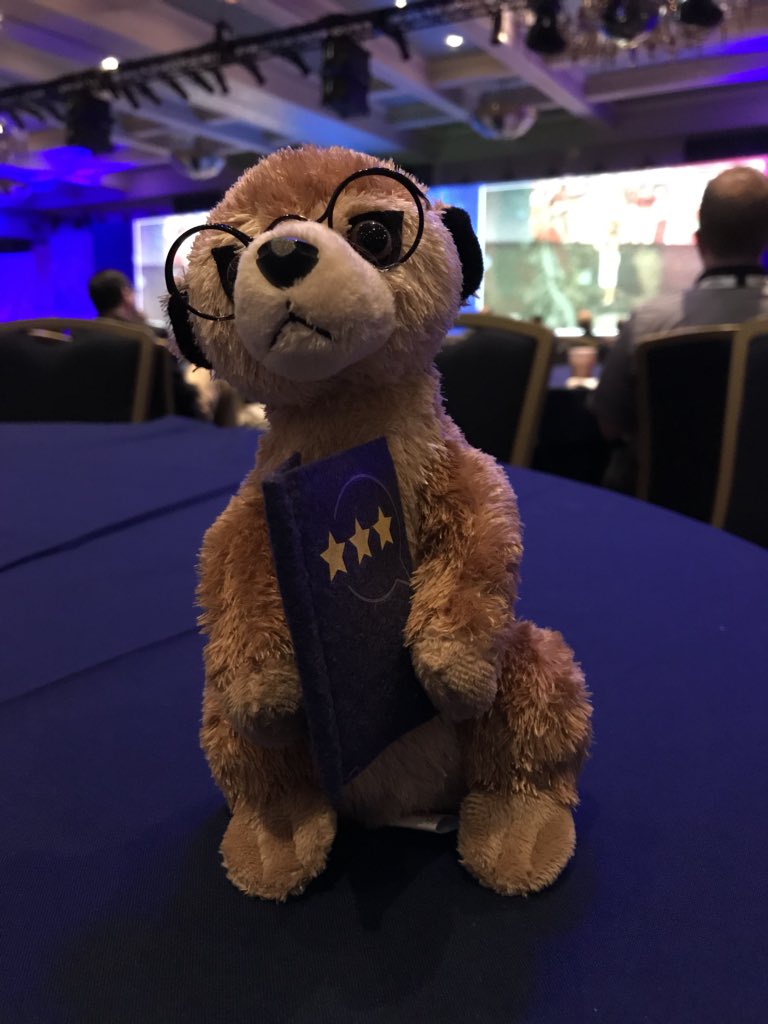 DellaShea1's tweet photo. Desperately happy I found Marley the Meerkat ❤️ Thank you @Gartner_SYM #peerinsights https://t.co/xlr9eK8eLx