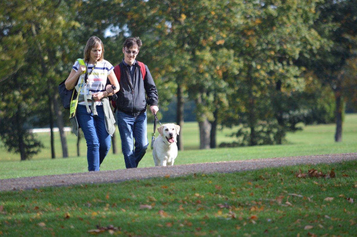 MrAlexRamzan's tweet photo. My Guide Dogs team sent this photo over to me today. It was taken whilst on a walk at the #GuideDogsFest2018 the other weekend! Beautiful photo!! 🙂 #guidedogs #GuideDogsWeek2018 #GuideDogs @guidedogs @GuideDogsAL2 https://t.co/Us2Zro02SP