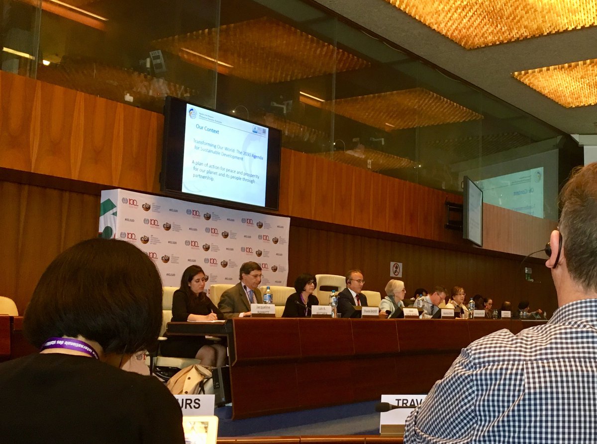 annabeyondme's tweet photo. @ilo #ICLS2018 ends with a panel on the future of #statistics: #surveys vs #secondary-data, data governance, future of #LFS and more @Rafon10 @ILOACTRAV https://t.co/eEibZMBuCD