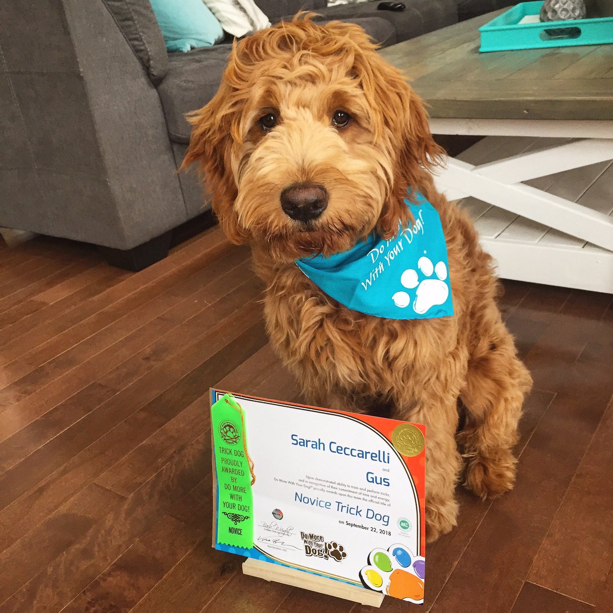 spelland's tweet image. Proud Mom moment! 😊🐶