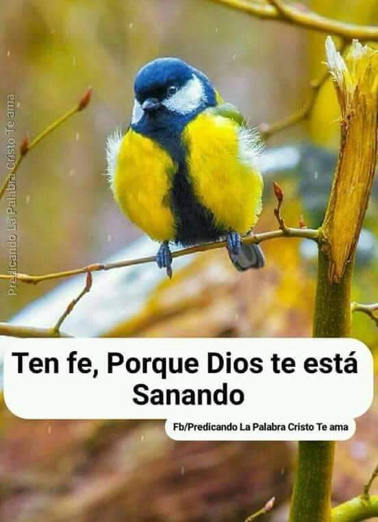 mloly1's tweet photo. Amén https://t.co/wjf7eb3fw6