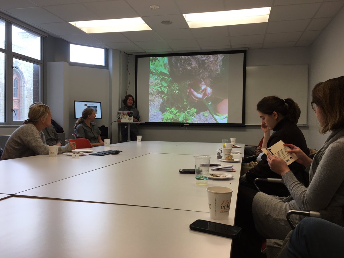 PPEHLab's tweet image. The #environmentalperformanceagency helps PPEH faculty and students attend to their #plantblindness by cultivating a practice of being-with plants, especially the weedy and overlooked plants that inhabit our urban environments 🌱