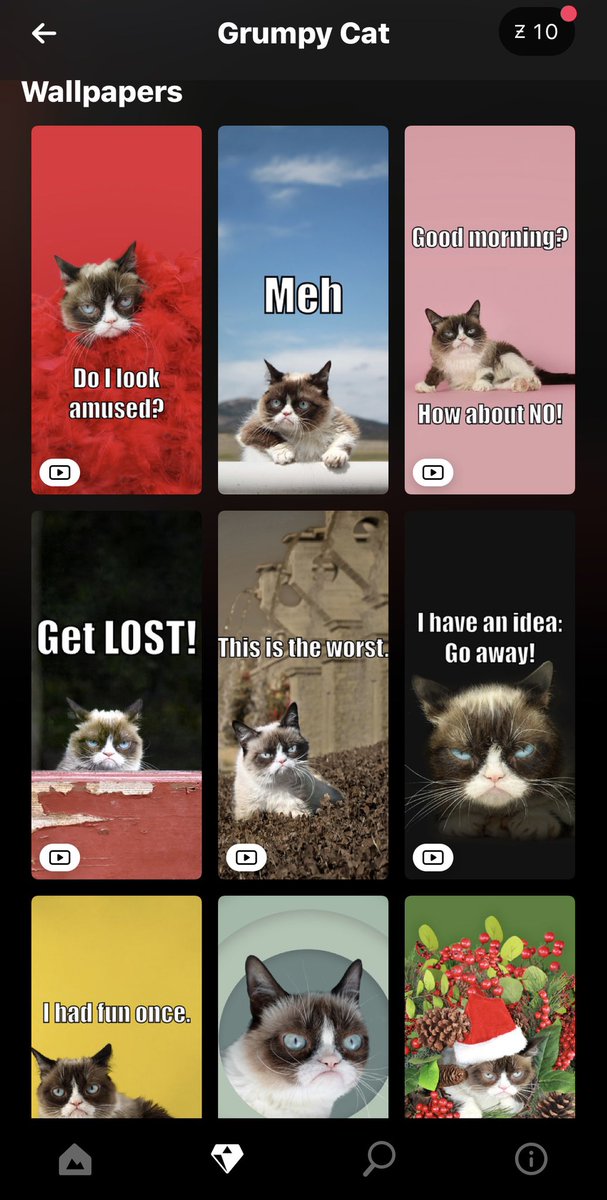 Grumpy Cat on Twitter: Grumpy Cat on Twitter: