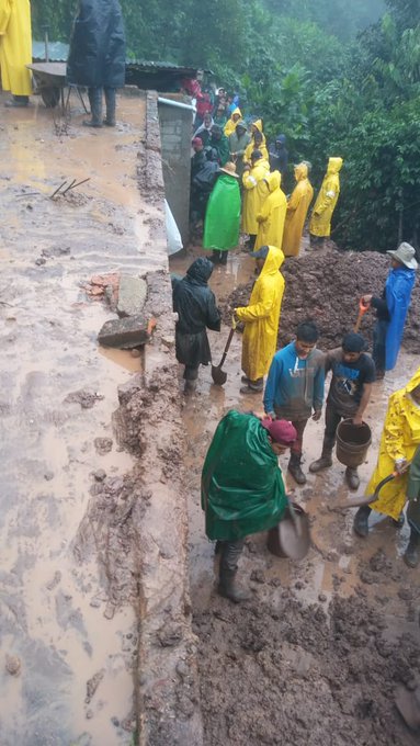 Ver imagen en Twitter