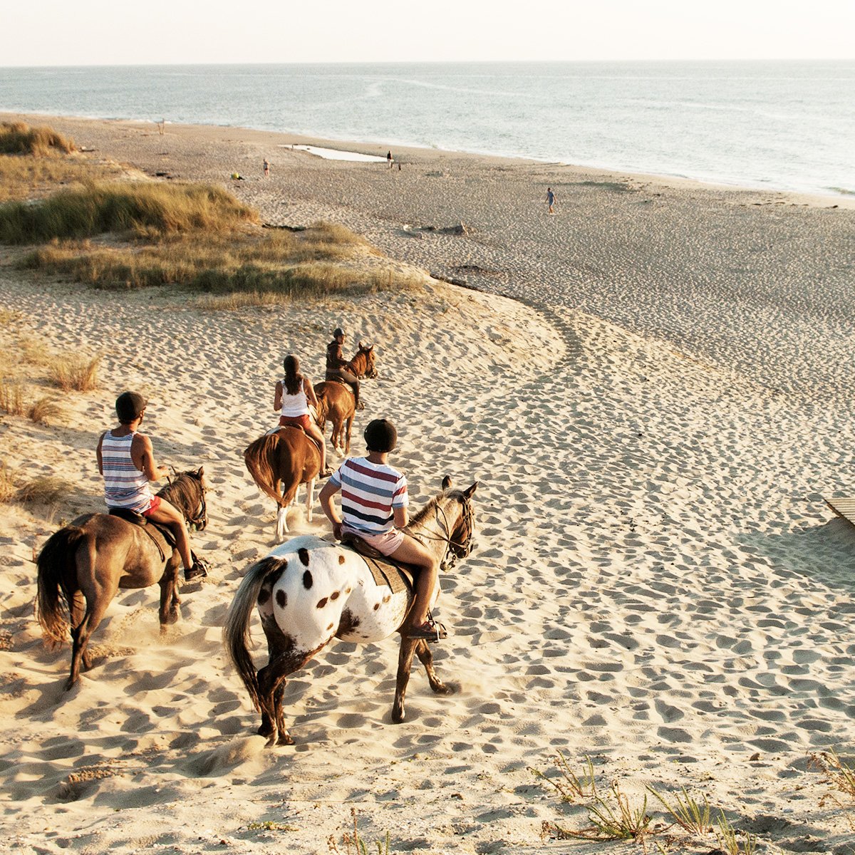 Programme de la soirée : balade à cheval et coucher de soleil au camping Atlantic Club Montalivet🐴✨ Et vous ?