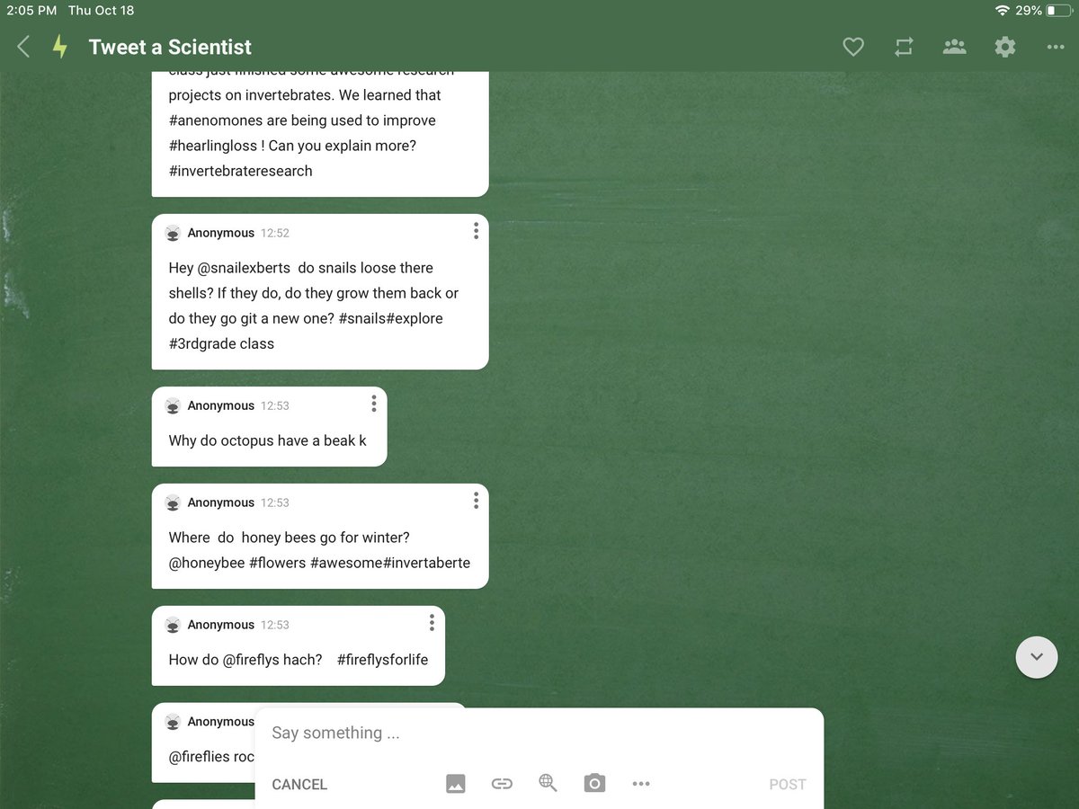 theLibraryBug's tweet image. With Ms. Riesen’s third graders flexing our questioning muscles in @padlet before we try to connect with #scientists on Twitter. Stay tuned! #invertebrates #thirdgradescience