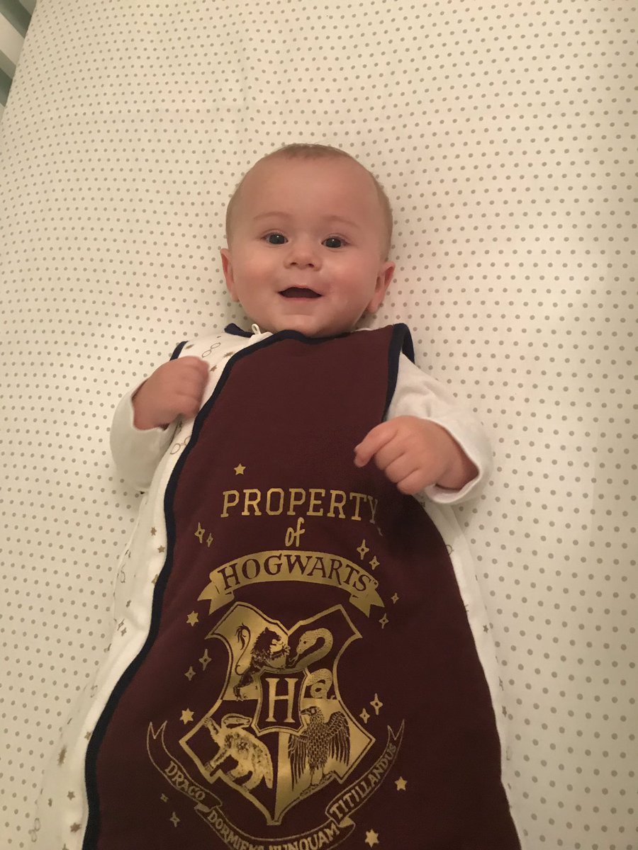 harry potter baby sleeping bag