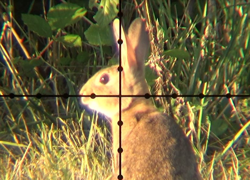 We're out hunting in windy conditions, and we've got rabbits in the crosshairs...
youtube.com/watch?v=S7QJ85…
<a href="/pellpax/">Pellpax</a> <a href="/RidgelineUK/">Ridgeline of New Zealand - UK</a> <a href="/shootingparty/">Mike Hurney</a> <a href="/solwareltd/">Solware Ltd</a> 
#airgun #hunting #shooting