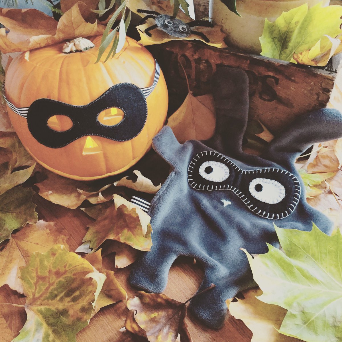 MoCollagenQueen's tweet photo. It’s Bandits favourite time of year... he’s ready for Halloween, are you? 

Nab your own bandit masks online now and be part of the gang!

#thedoudoods 
#halloween
#superheromask
#handmade
#madeinbritian
#shopsmall https://t.co/RhnfShH9Ur