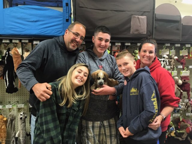 Is this not just the most puptastic #TBT you’ve ever seen?! #puppies #dogsoftwitter #dogs #adoptdontshop #CutePuppies #family #pets