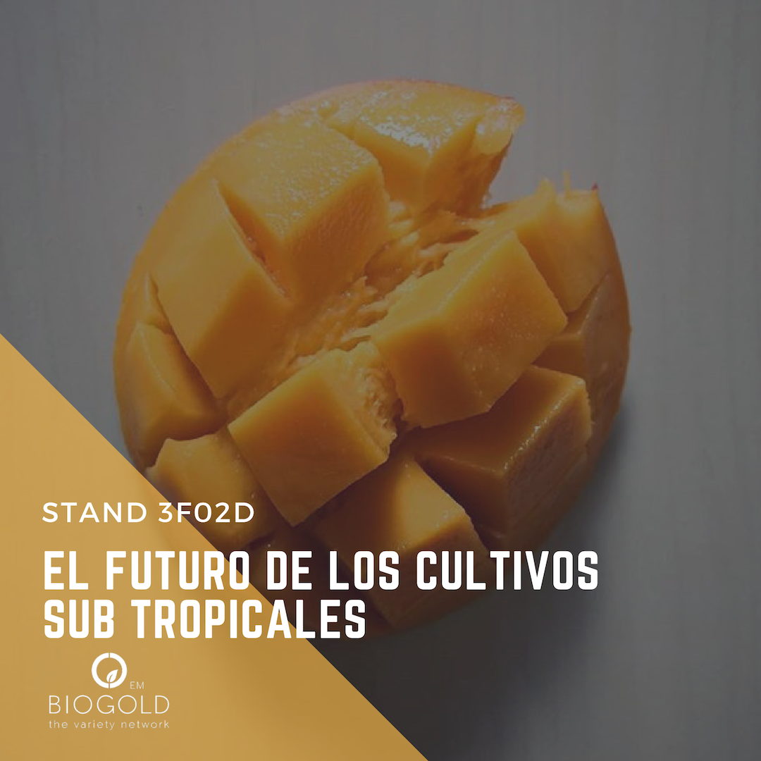 BIOGOLDEM's tweet photo. Deseando que llegue @FruitAttraction 

Nuestro stand se encuentra en el pabellón 3 - 3F02D

' Tu partner en el mundo de las variedades vegetales protegidas 
#FruitAttraction #FA18 #FruitAttraction10years #IFEMA #Fruta #Agricultura #BiogoldEM  #Campo #VariedadesProtegidas #Biogold https://t.co/WHM0NV65ad