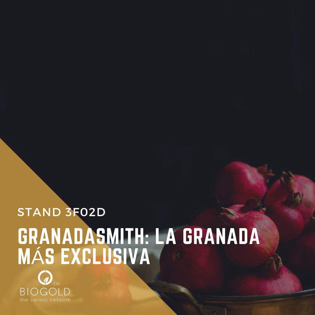 GranadaSmith's tweet photo. Deseando que llegue @FruitAttraction 

Nuestro stand se encuentra en el pabellón 3 - 3F02D

' Tu partner en el mundo de las variedades vegetales protegidas 
#FruitAttraction #FA18 #FruitAttraction10years #IFEMA #Fruta #Agricultura #BiogoldEM  #Campo #VariedadesProtegidas #Biogold https://t.co/wSNxEqfEFS