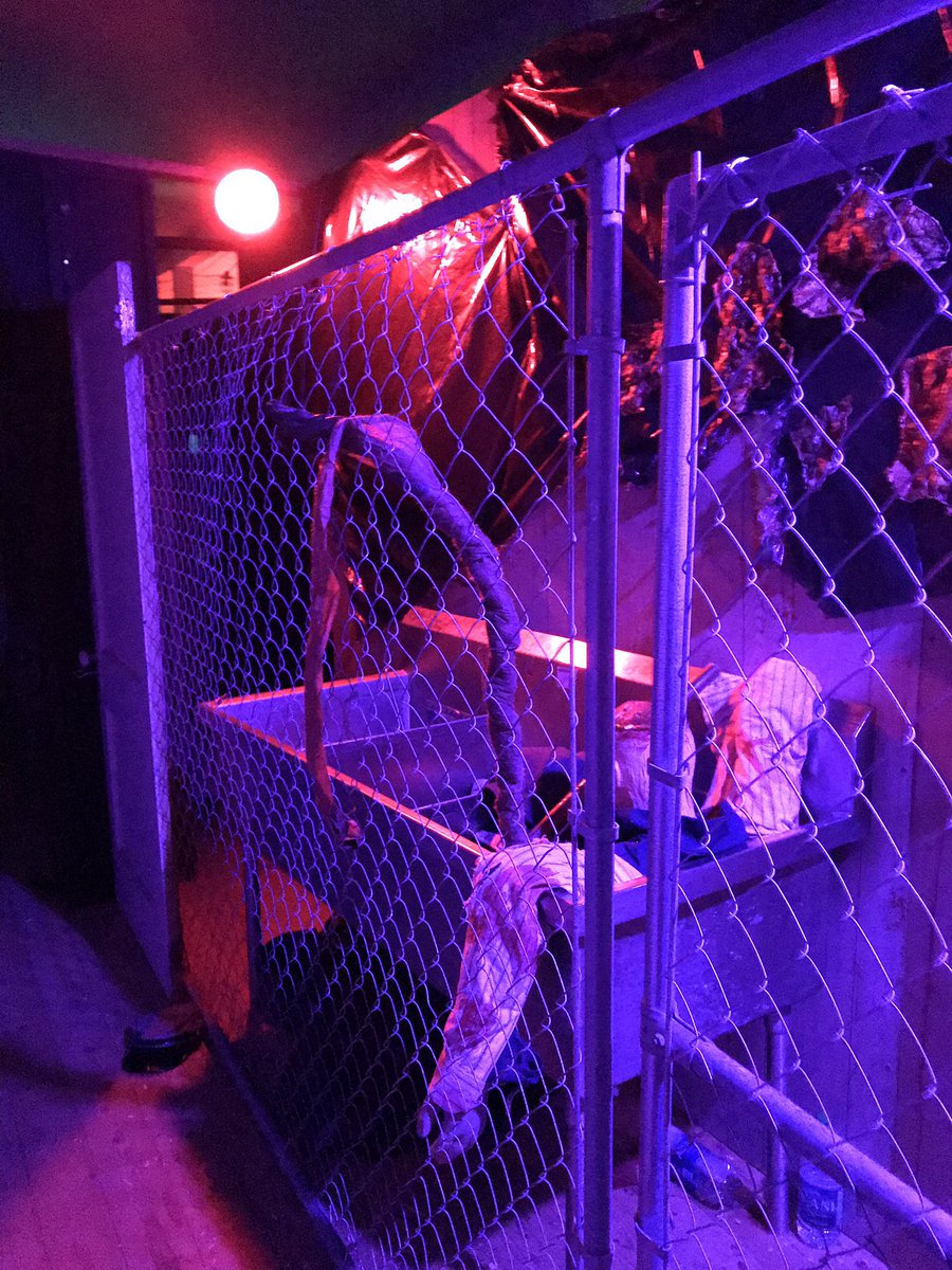 Haunted Fort (HauntedFort) Twitter Haunted Fort (HauntedFort) Twitter