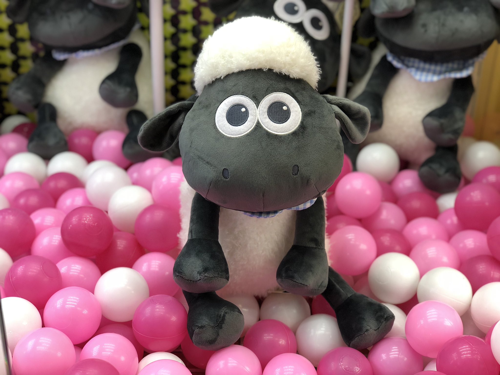 万代アミューズ藤野店 ひつじのショーン ベビーショーン My First Shaun Big ぬいぐるみ こんなかわいい ショーンお家に持って帰ってみたくなりますね 是非この機会に フジマン 万代藤野 万代 かわいい 新景品 ひつじのショーン Ufo