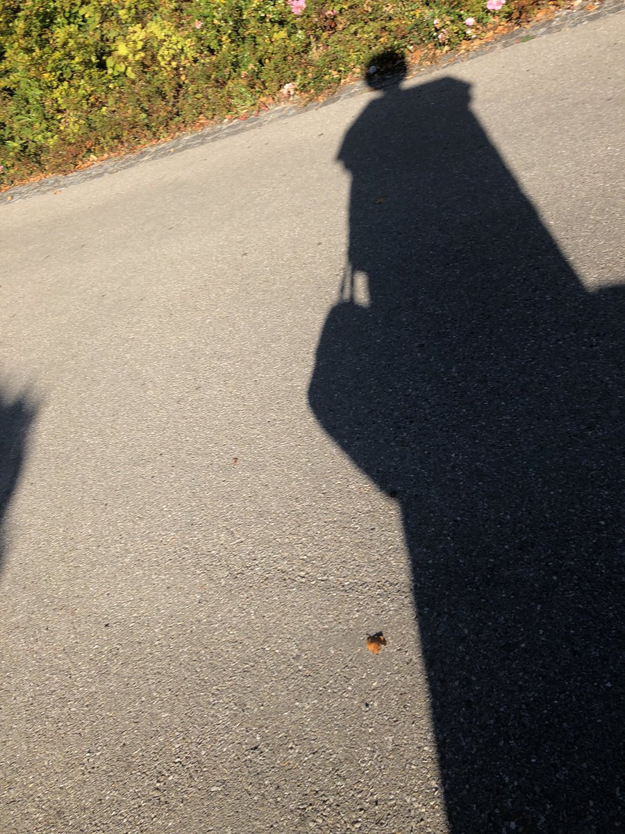 dieMondin's tweet photo. Schatten-Ich https://t.co/uIKoWN0IT6