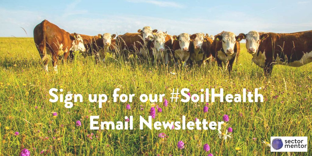 soilmentor's tweet image. Sign up for the #SectormentorForSoils email newsletter to learn about how to monitor and build healthy soil on your farm🌱🐞🐮
----&amp;gt;soils.sectormentor.com/newsletter/&amp;lt;----
#SoilHealth #RegenerativeAgriculture