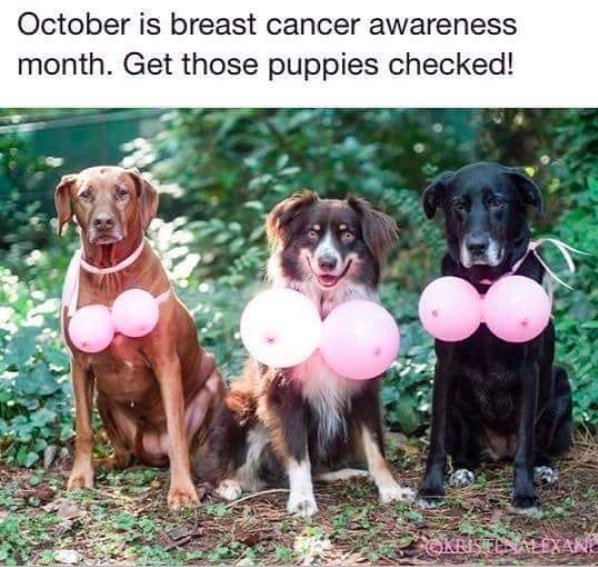 GoHeroDogs's tweet photo. Take care of yourselves &amp; remember your check-ups! All our prayers &amp; support to those who have fought &amp; are battling cancer. #RealHero #kickcancersbutt #crucialcatch #goherogo #PlaySooner https://t.co/bwseJQk2Do