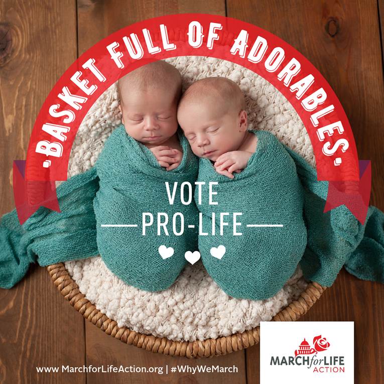 bryanhayesmusic's tweet image. &quot;Before I formed you in the womb I knew you…” #Jeremiah1v5 #MarchForLife #WhyWeMarch #ProLife #Vote