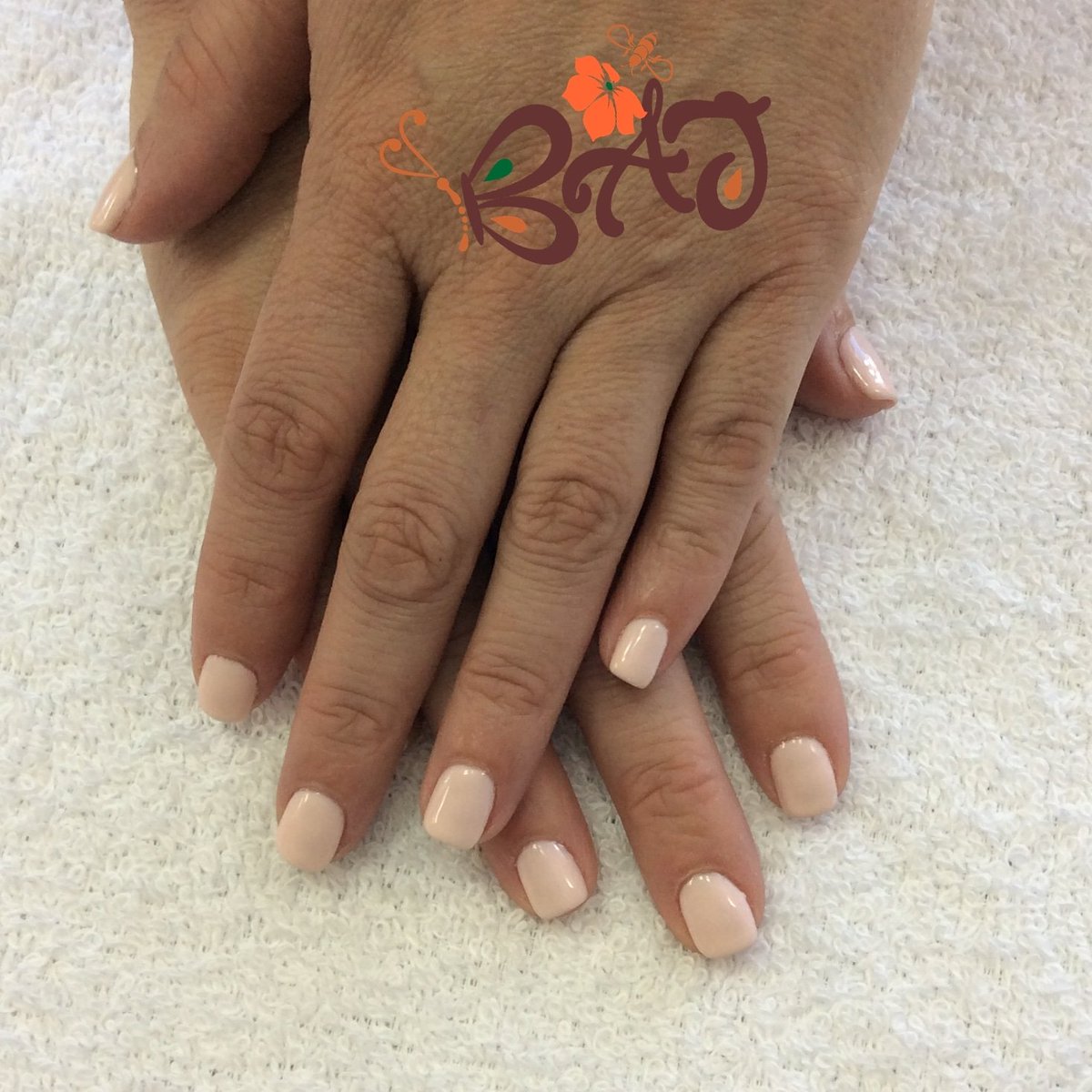 SpaBaj's tweet photo. Nudes are great far Fall. #904nails #nail #904nailsalon #nails💅#nailart #904salons #orangeparknails #jaxnails #orangeparksalons #nailshop #spanail #nailspa #nailsalon #manicure #manicures #nasjax #middleburg #flemingisland #jax #greencovesprings #duval #promoteclay https://t.co/ZPDK7iIsKE
