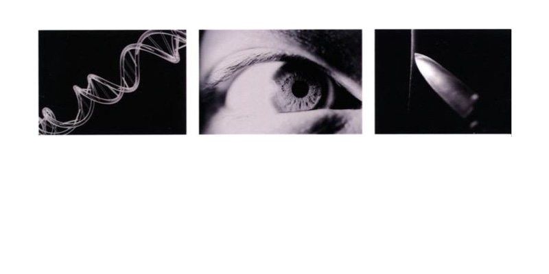 UoYCrimNet's tweet photo. ...and reserve your place for Adrian Raine's The Anatomy of Violence: Dissecting the Biological Roots of Crime (25 October 2018) here: https://t.co/7uw9j0Kocu https://t.co/dpP0gynnNR