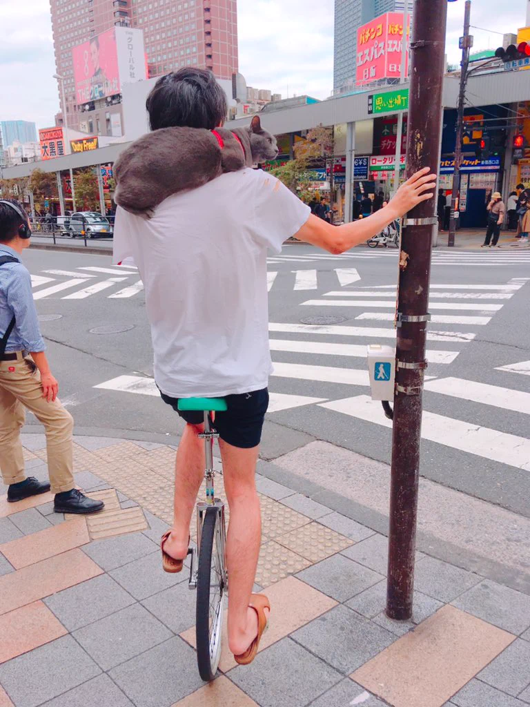 ５度見してしまうほどのインパクト！！一輪車を乗りこなす男性のクセがすごいwww