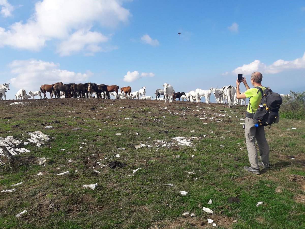 Club Alpino Italiano tweet media