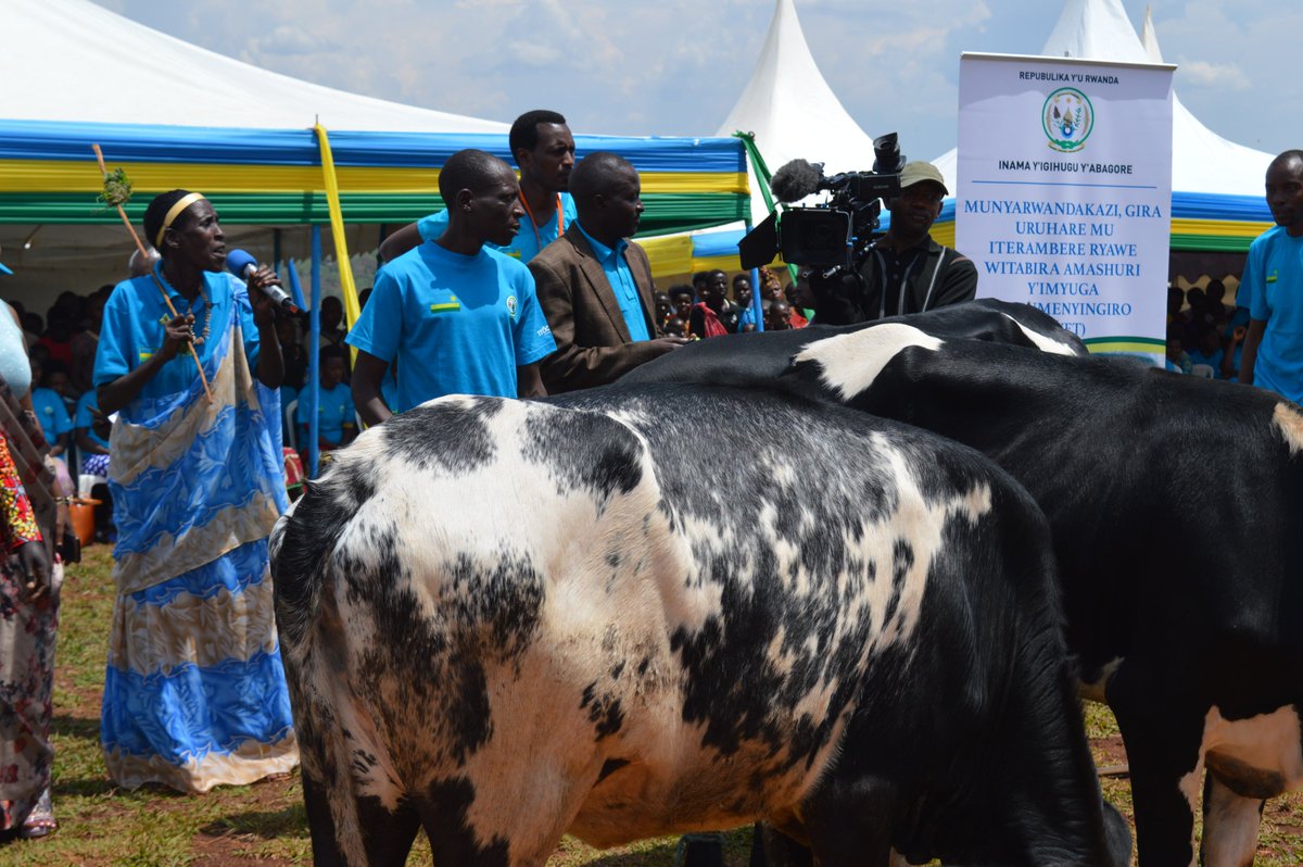 RwandaWomen's tweet photo. Today women were supported with different toolkits, cows and bicycles. Thanks to different partners who made this happen.  #IRWD2018 . Together we can achieve more.  @RwandaGender @bankofkigali01 https://t.co/BcYZPcHj3I