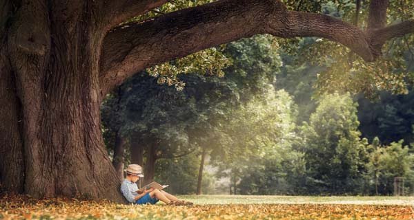 Lekker blijven lezen in de herfstvakantie. Niet verslappen, maar blijven lezen. Tips: passendlezen.nl/iguana/www.mai… of yoleo.nl