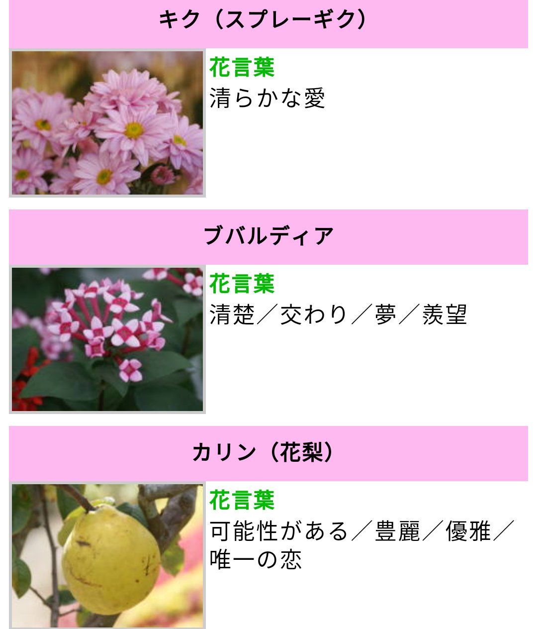 花言葉は唯一の恋 Twitter Search Twitter