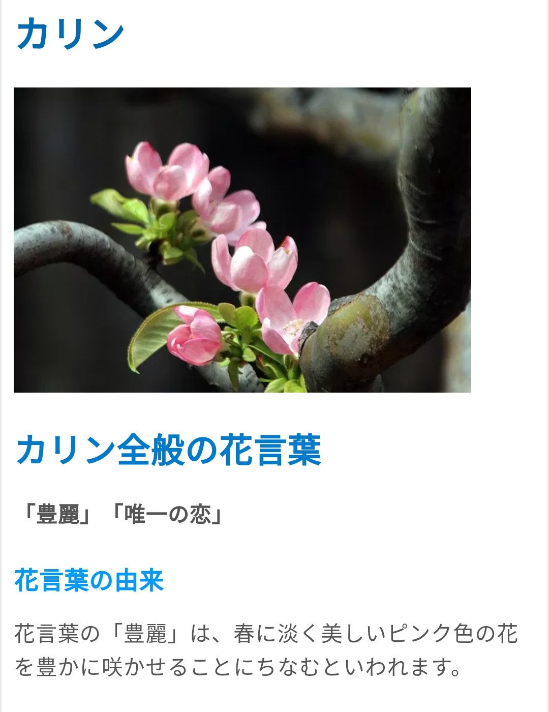グリーンテイル Meru Hlm 参考までに 11月1日の誕生花 花言葉は唯一の恋 カリン党 ブバルディアはなんかジワル T Co Bai45huw3n Twitter