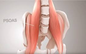 Evolution Studios tweet media