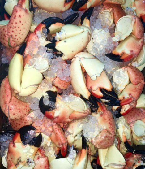 Stone Crabs are here! #StoneCrab #LetsEat #Florida #StoneCrabSeason #Boatyard #FortLauderdale #NewAmerican #HooktoTable #Seafood #FreshDaily