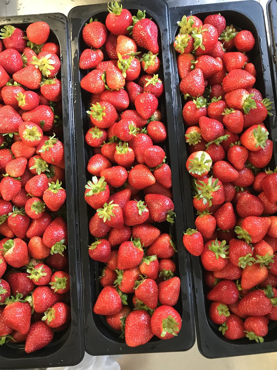 We are getting ready for California Thursday! Here @RUSDLink, we provide locally grown produce and locally processed products to our students! Everything on today’s menu is from California! #grownwhereigrow  <a href="/Ecoliteracy/">Center for Ecoliteracy</a> #californiathursday