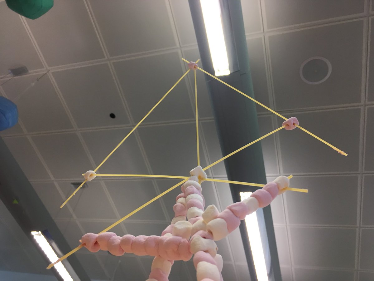 misscaseytweets's tweet photo. Our Marshmellow Man and the sheer panic of him almost falling down π
#EHUScience https://t.co/lZxGwj9beS