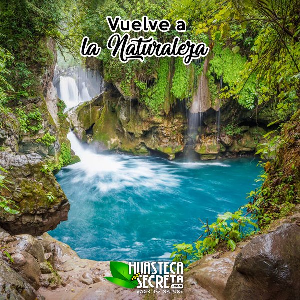 HuastecaSecreta's tweet photo. Descansa de la rutina, ¡vuelve a la naturaleza! Descubre tu próxima aventura. Da clic aquí: https://t.co/CxaHuDPUoZ https://t.co/dE7uz6bqPR