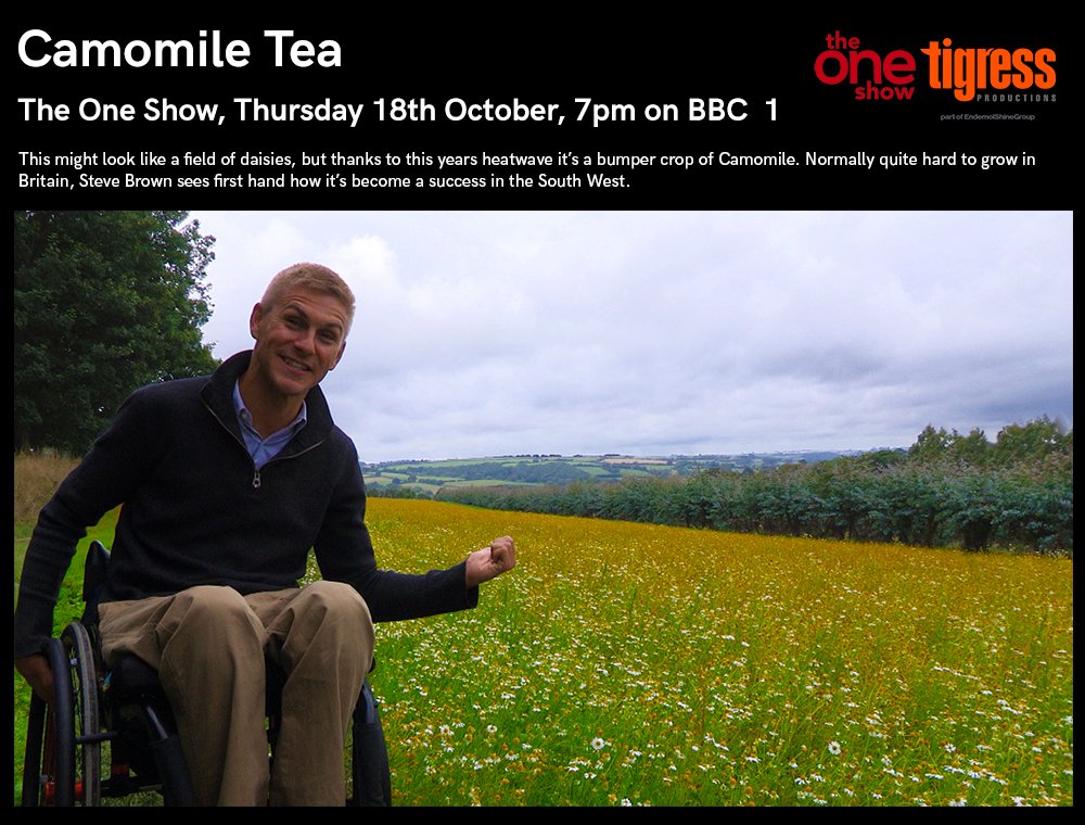 On <a href="/BBCTheOneShow/">BBC The One Show</a> tonight <a href="/SteveBrownGBWR/">Steve Brown</a> visits #Cornwall to sample a unique Cornish cuppa, made from a bumper crop of #Camomile thanks to this year’s long hot summer.  📺 Watch from 7pm on <a href="/BBCOne/">BBC One</a>