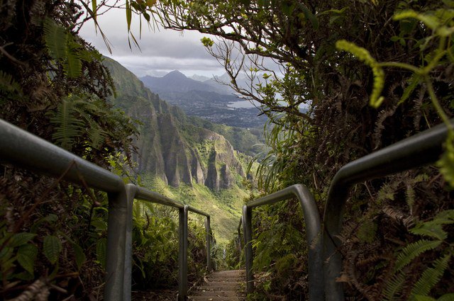 DeaAnnette's tweet photo. The Haʻik�� Stairs Hike is a 4,000-step trek through the heart of Oahu's Ko'olau mountain range. #Hawaii #travel  https://t.co/nTnfzuMW4w https://t.co/AKfmJXqYJS