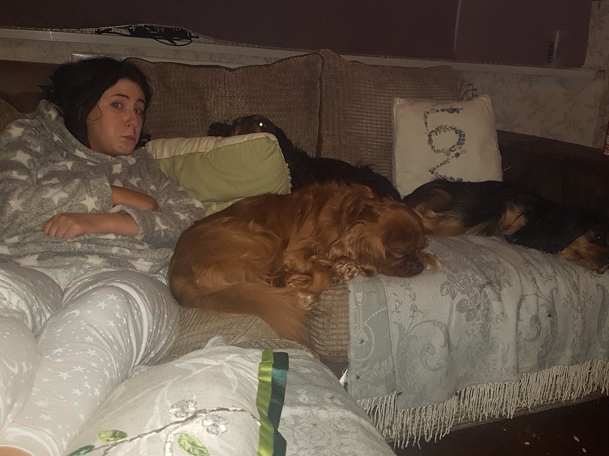 My daughter(and dogs) watching The Fly for the first time <a href="/jeffreygoldbIum/">Jeff Goldblum</a> 😂😂 she was scared!!