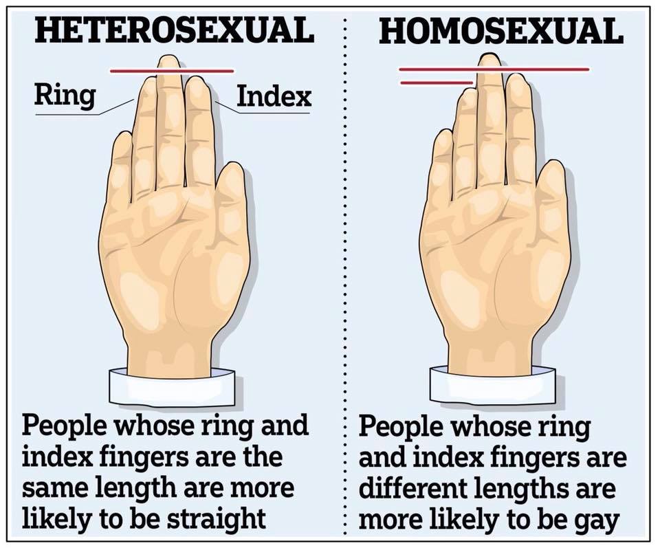 Gay Hand