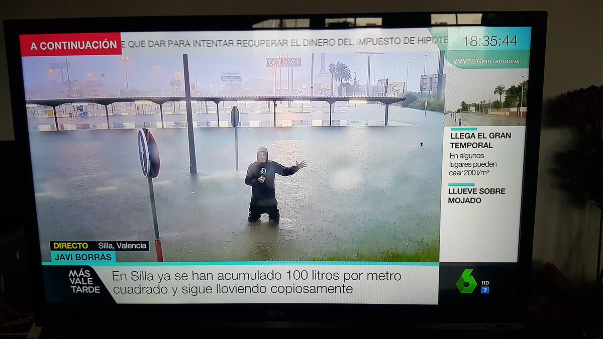 Noemí F. A. tweet media