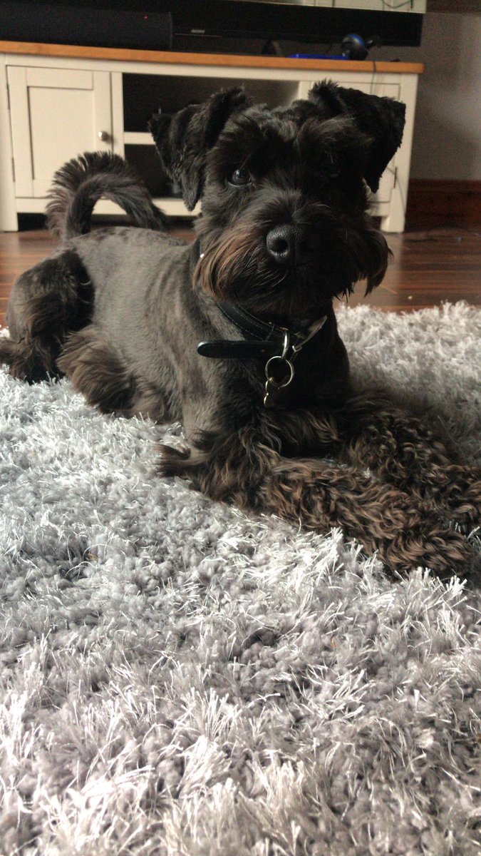 MagicMillar's tweet image. #ARUGrad