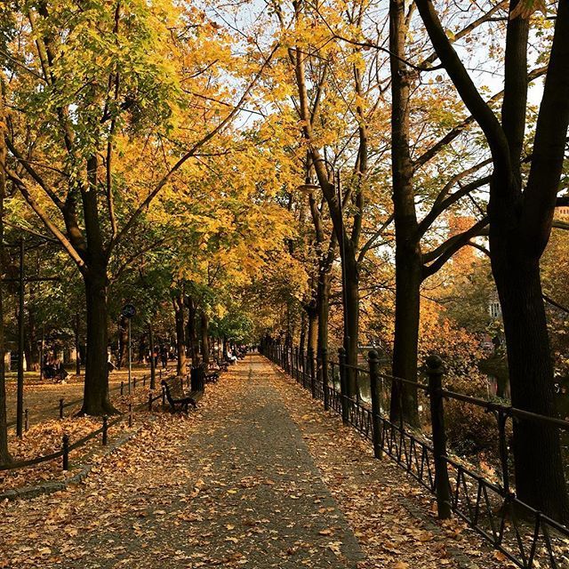 #wroclaw never disappoints... #relaxingmoments #rechargingbatteries #autumn🍁 #autumnwalk #poland #ilovepoland #kochampolske #wroclove #quietmoments #howdoyourelax #englishteacher #europedrive ift.tt/2Ouftup