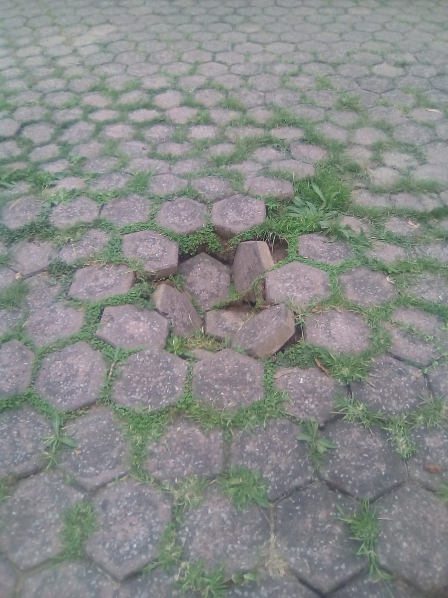 OctaviaTreble's tweet image. What happened to the blood road? It was fine yesterday.