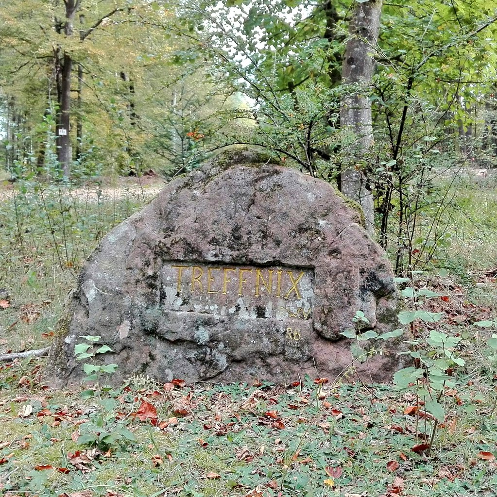 Ich sag nur #treffnix....
#wandern #pfalz