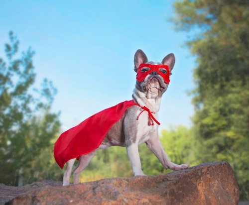 spscincinnati's tweet photo. Best costume wins a prize at our Oct 27 event! Register today for free SharePoint training! https://t.co/0Ggh5RdNgW #spscincinnati @CinState #Cincinnati #SharePoint #O365 @FocalPointSP @sldeere #spscinci #spscinci2018 #bestcostume https://t.co/hWyoBmMcNv