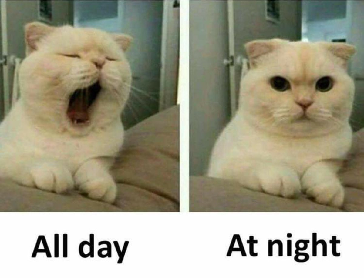 Mostafaa_Nabill's tweet photo. و at night  والله 😂😂 https://t.co/ZSNtoU2lED