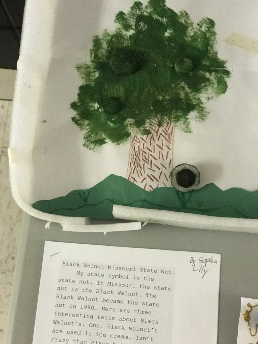 VirdensThird's tweet photo. 3rd Grade has been studying Missouri symbols. We ended our unit by creating models! #3rdgrade #mohistory @SpartaR3Schools #MissouriDay #itsathing https://t.co/ryQB6txFyp