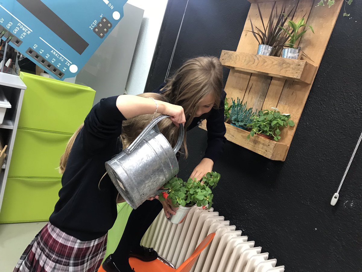 SEKCiudalcampo's tweet photo. Aquí tenéis a los niños de 4º cuidando un mini jardín mural https://t.co/KYflHkvNKF