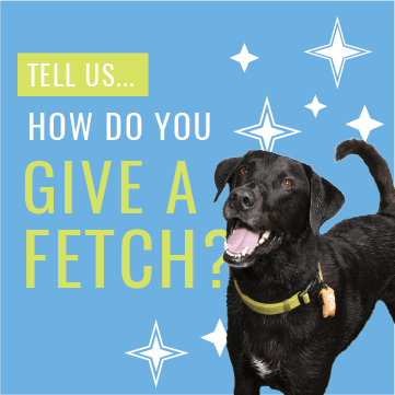 cbwdobsonranch's tweet photo. Post a Pic of how you GIVE A  FETCH for your Dog(s)... Tag #campbowwowdobsonranch &amp; #GiveAFetch What are all the special things you do for your pups? Win a Free YEAR of service. 
#specialdogs #mesadogs #tempedogs #campbowwow #dogsofinstagram https://t.co/iUraeUZSI5