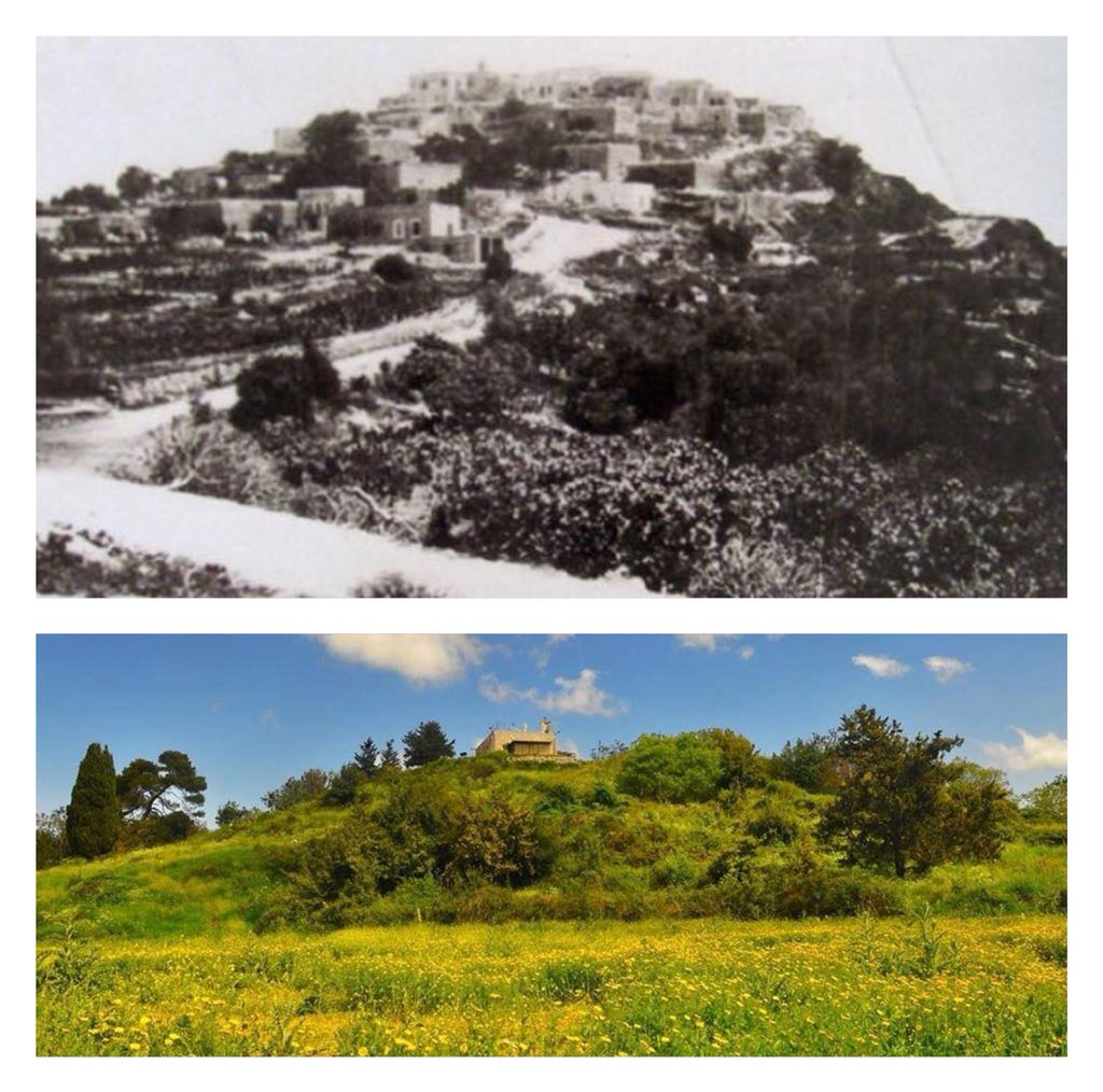 Iqrit اقرت was a Palestinian Christian town in the Galilee and home to 3k Melkite Catholics. The town got ethnic cleansed in 48. In response to a plea, Supreme Court ruled that they are allowed to return, but Israel responded by destroying the whole town at Christmas eve in 1951.